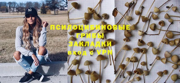 шишки Балабаново
