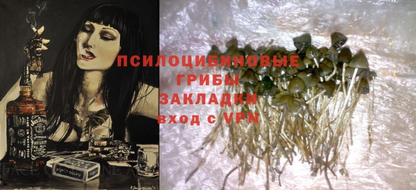 шишки Балабаново