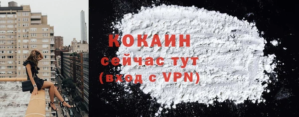 шишки Балабаново