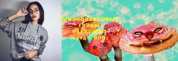 шишки Балабаново