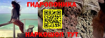 стафф Ачхой-Мартан