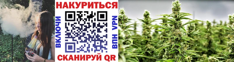 Шишки марихуана тримм  наркотики  Борисоглебск 